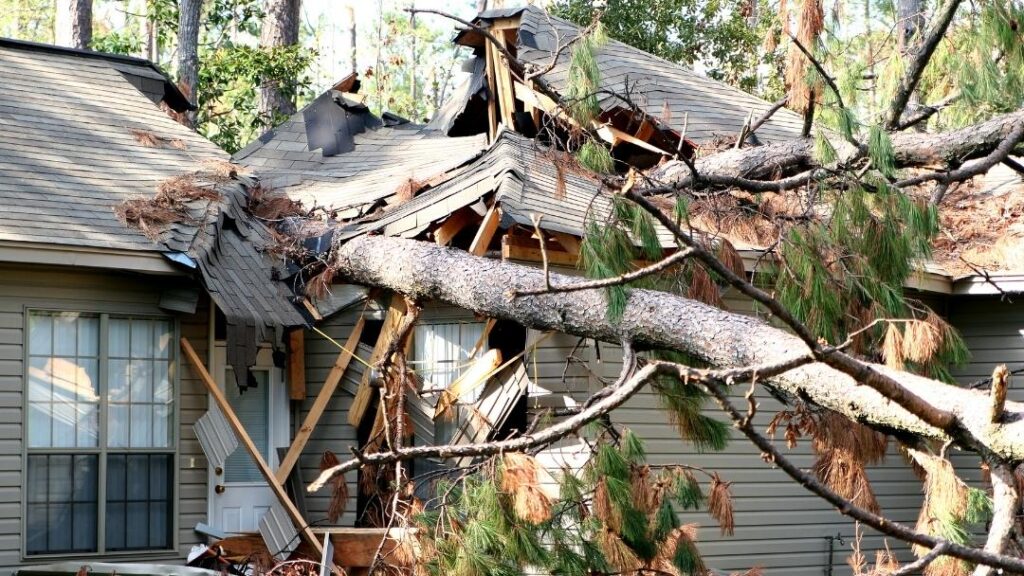 How to choose a Fort Myers hurricane damage attorney?
